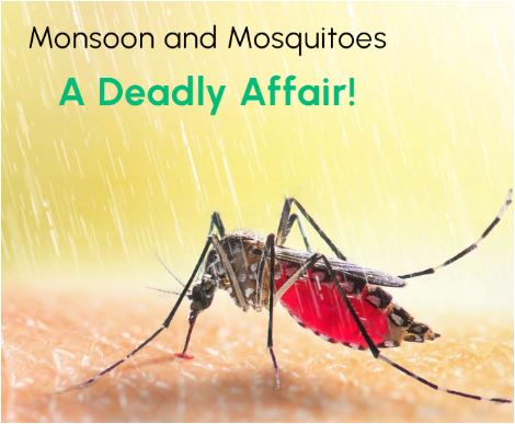 What are the Seasonal Diseases coming in Early Rainy Season?